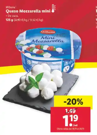 Lidl Queso Mozzarella Mini oferta