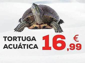 Kiwoko Tortuga acuática oferta