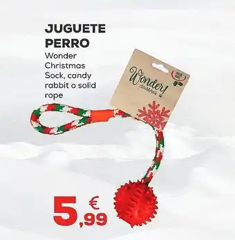 Juguete perro wonder christmas sock candy rabbit o solid rope