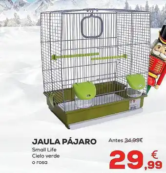 Kiwoko Jaula pájaro small life cielo verde o rosa oferta