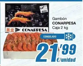 Gambón conarpesa