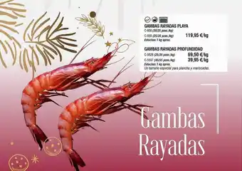 Abordo Gambas rayadas playa gambas rayadas profundidad oferta