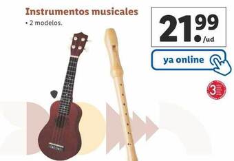 Lidl Instrumentos musicales oferta