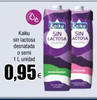 FROIZ Kaiku Sin Lactosa Desnatada o Semi 1L Unidad oferta