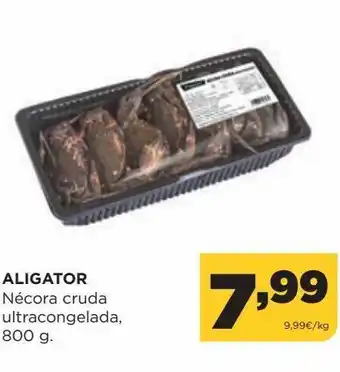 Alimerka Nécoras aligator oferta
