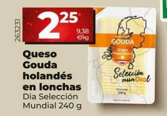 Dia Queso gouda holandés en lonchas oferta