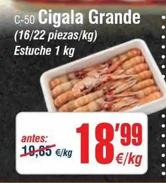 Abordo C-50 cigala grande 16-22 piezas-kg estuche oferta
