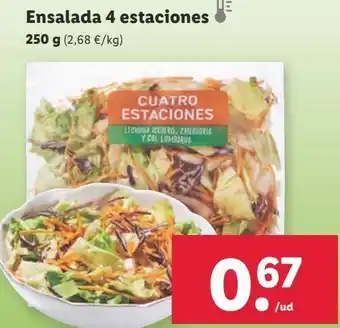 Lidl Ensalada cuatro estaciones oferta