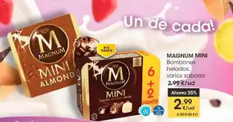 Eroski Magnum Mini Bombones Helados oferta