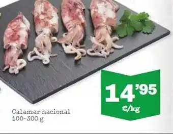 Sorli Calamar nacional oferta