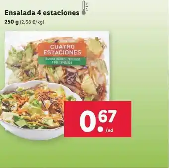 Lidl Ensaladas 4 estaciones oferta