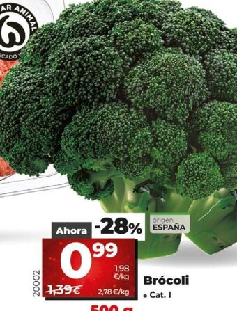 Dia Brócoli oferta