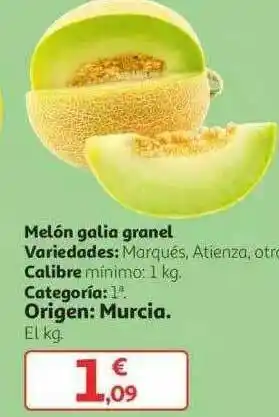 Alcampo Melón Galia Granel oferta