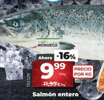 Maxi Dia Salmón oferta