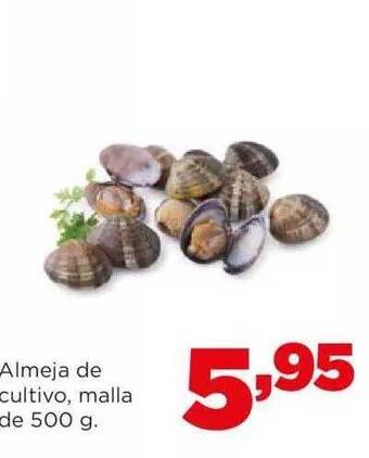 Alimerka Almeja de cultivo malla oferta