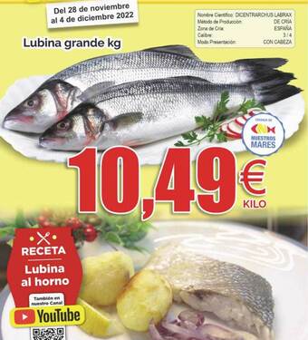 FROIZ Lubina grande oferta