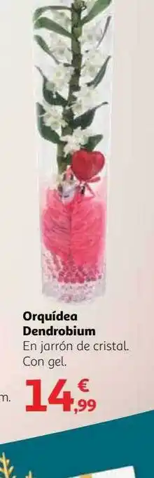 Alcampo Orquidea dendrobium oferta
