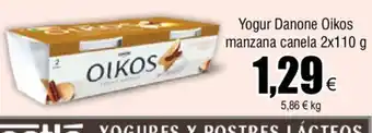 FROIZ Yogur Danone Oikos Manzana Canela 2x110 g oferta