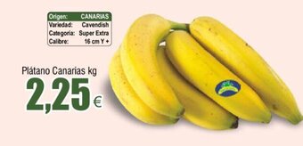 FROIZ Platano Canarias kg oferta