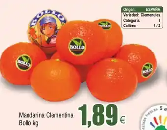 FROIZ Mandarina Clementina bollofkg oferta