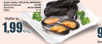 FROIZ Mejillon kg oferta