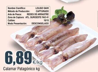FROIZ Calamar Patagonico kg oferta