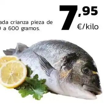 Supermercados Lupa Dorada oferta