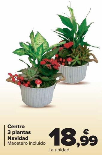 Carrefour Centro 3 plantas navidad oferta