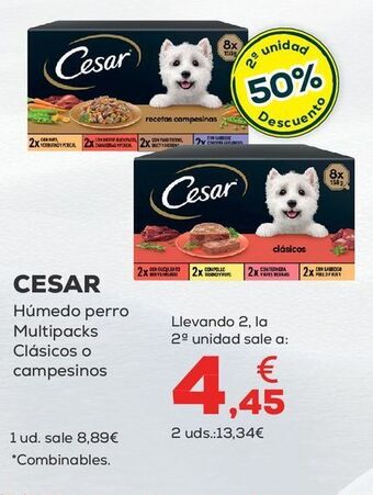 Kiwoko Comida para perros cesar oferta