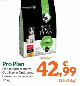 TiendAnimal Pienso para perros purina oferta
