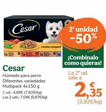 TiendAnimal Comida para perros cesar oferta