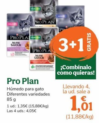 TiendAnimal Comida para gatos purina oferta
