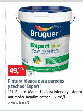 Bauhaus Pintura plástica bruguer oferta