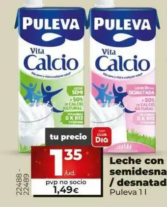 Dia Leche con semidesnatada destanda puleva oferta