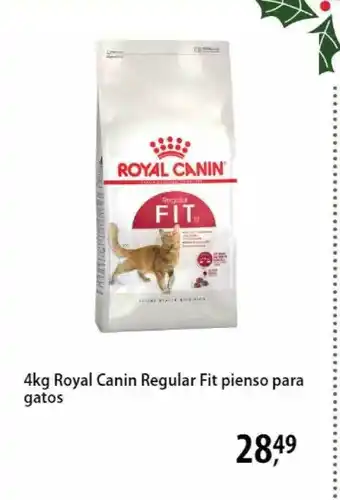 Zooplus 4kg royal canin regular fit pienso para gatos oferta