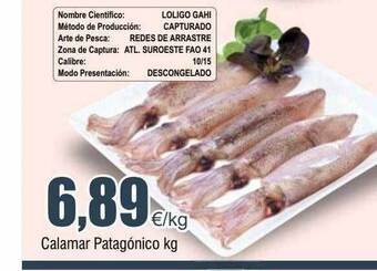 FROIZ Calamar patagónico kg oferta