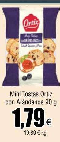FROIZ Mini tostas ortiz con arándanos oferta