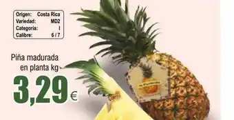 FROIZ Piña madurada en planta oferta