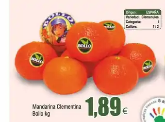 FROIZ Mandarina clementina bollo oferta