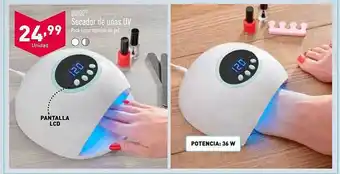 ALDI Quigg secador de uñas uv oferta