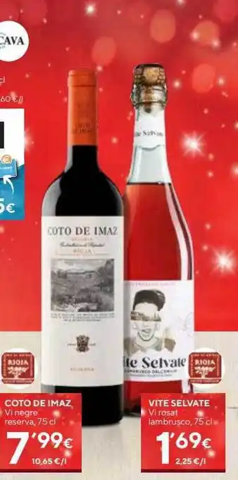 Coto de imaz vi negre reserva vite selvate vi rosat lambrusco