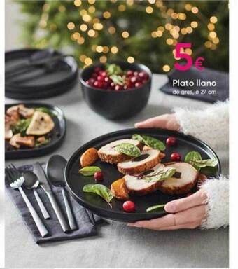 Pepco Plato llano oferta