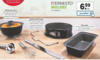 Lidl Moldes ernesto oferta