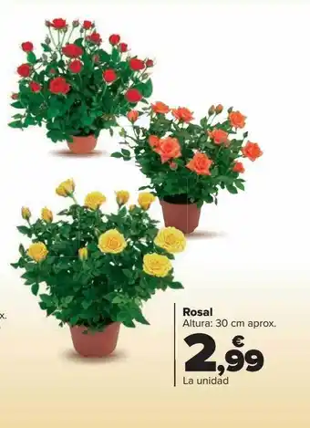 Carrefour Rosal oferta