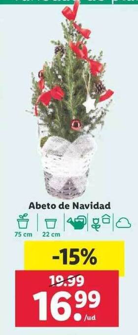 Lidl Abeto de navidad oferta