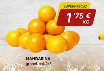 Minymas Mandarina granel cal 2-3 oferta