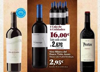 Gadis Vino ribera del duero tinto joven pago de fuentevega oferta
