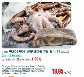 Abordo Pulpo crudo marruecos oferta