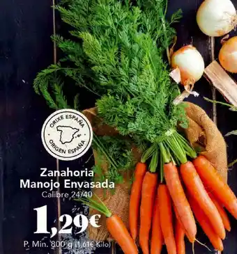 Gadis Zanahoria Manojo Envasada oferta