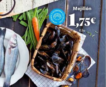 Gadis Mejillón oferta